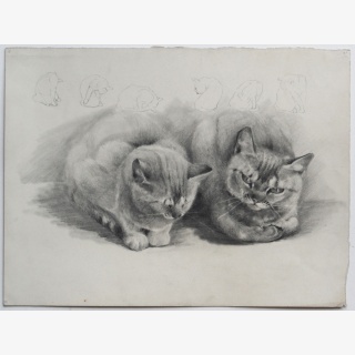 Zwei liegende Katzen (und Bewegungsstudien)