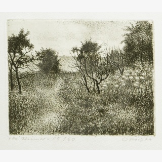 Bei Weimar, aus: &bdquo;Thringen 79 &ndash;...