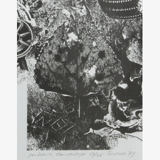 Gerderte Landschaft, aus: &bdquo;Thringen 79 &ndash; Stellungnahmen zu einer Landschaft&ldquo;, Hrsg. Museen der Stadt Gotha, Schlossmuseum &ndash; Kupferstichkabinett,  verschiedene Knstler
