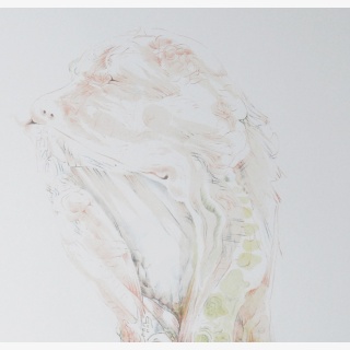 Kopf, aus: F�r Max Beckmann zum 12. Februar 1984, Grafische Bl�tter verschiedener K�nstler, Hrsg. Lothar Lang und Hans Marquardt, Grafik-Edition XVI, Verlag Philipp Reclam jun. Leipzig