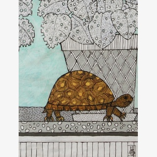 Experiment: Zimmerpflanze und Haustier