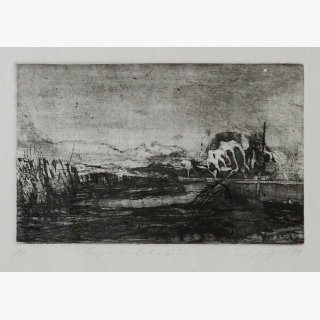 R�genlandschaft 32