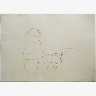 Affe und Katze