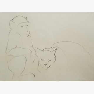 Affe und Katze