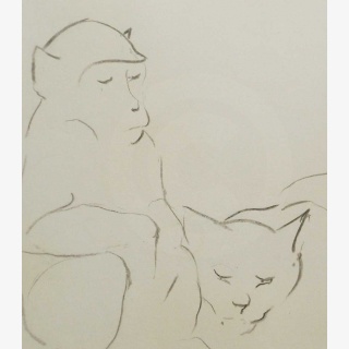 Affe und Katze