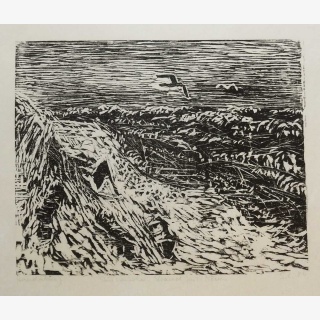 St�rmischer Strand mit M�wen