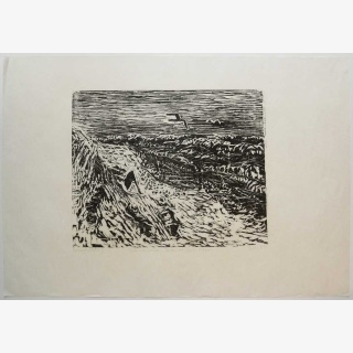 St�rmischer Strand mit M�wen