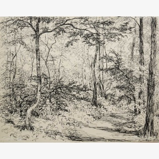 Wald