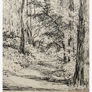 Wald