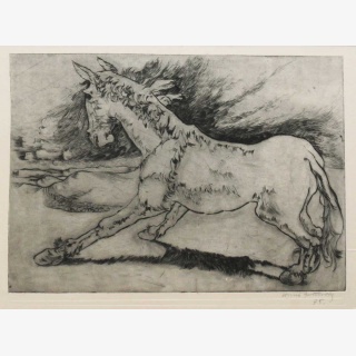 Das wei�e Ross (Ausschlagendes Pferd) aus der Folge Tiere...
