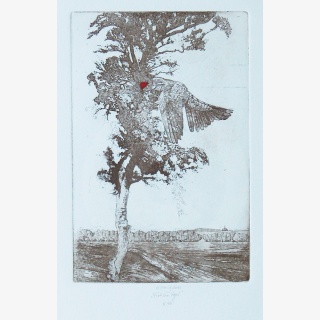 Fr�her Vogel