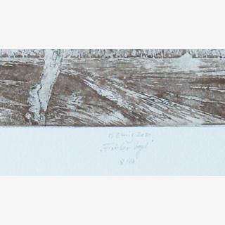 Fr�her Vogel