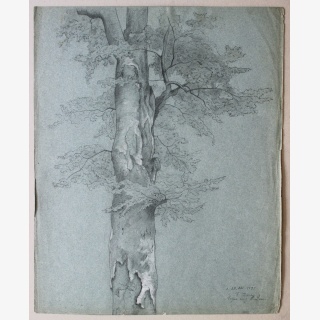 Zwei Werke, 1. Baum , 2. H�user auf Capri