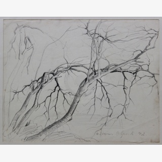 F�nf Werke, 1.-3. Aststudien, 4. Baumstudie, 5. Am Berg
