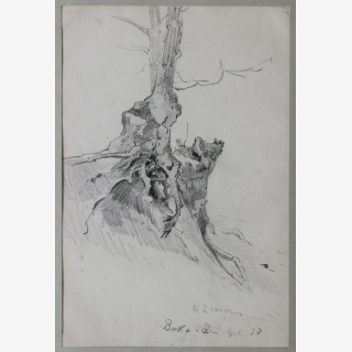 F�nf Werke, 1.-3. Aststudien, 4. Baumstudie, 5. Am Berg