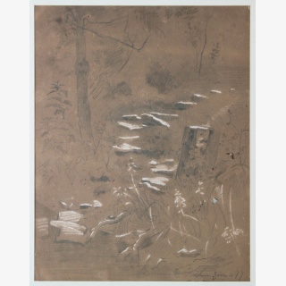 F�nf Werke, 1.-3. Aststudien, 4. Baumstudie, 5. Am Berg