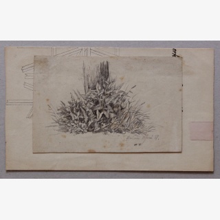 Zwei Werke, 1. Schlittenfahrt und 2. Pflanzen (Wilhelm...