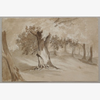 Zwei Zeichnungen, 1. Wiesenstück, 2. Bäume, verso Figurenstudie